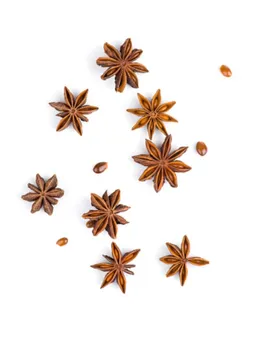 star anise 2 - unsplash (1)