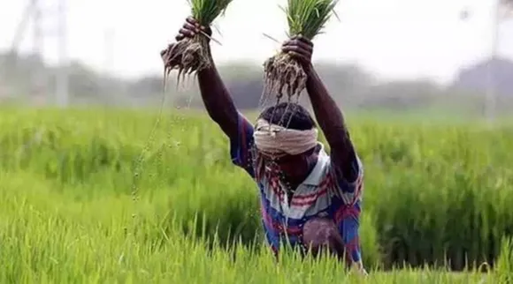 In Tamil Nadu a subsidy of Rs5 lakh is given to buy a tractor