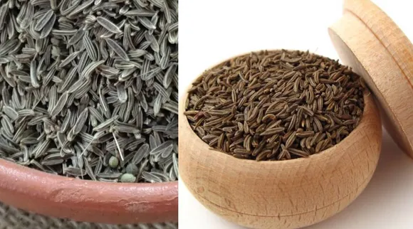 Kattu Seeragam health benefits in Tamil