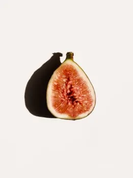 Fig 8 - Unsplash (1)