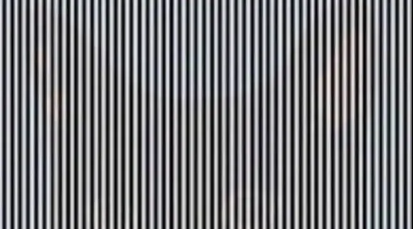 Optical Illusion, Optical Illusion Pictures, Optical Illusion Viral Picture, Optical Illusion Animal Picture, ஆப்டிகல் இல்யூஷன், ஆப்டிகல் இல்யூஷன் படம், விலங்கை கண்டுபிடிங்க, Optical Illusion Viral Photos, Optical Illusion Latest, about optical illusion,Optical Illusion photos, Optical Illusion pictures, Optical Illusion images