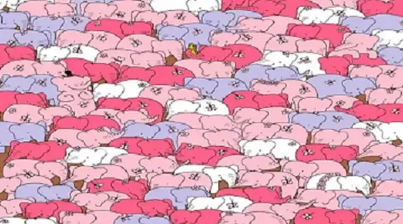 Optical Illusion, Optical Illusion Pictures, Optical Illusion Viral Picture, Optical Illusion Animal Picture, Optical Illusion Viral Photos, Optical Illusion Latest, about optical illusion,Optical Illusion photos, Optical Illusion pictures, Optical Illusion images