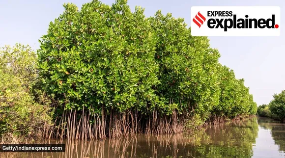 five more Indian wetlands have got Ramsar recognition