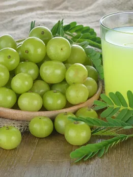 amla 1 - unsplash (1)