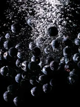 bluberry 1 - unspalsh (1)