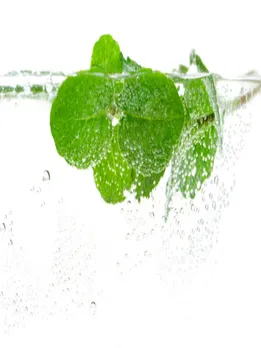 mint water 1 - unsplash (1)