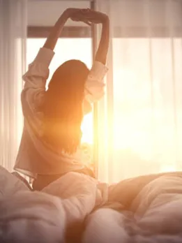 morning sunlight 4 - unsplash (1)