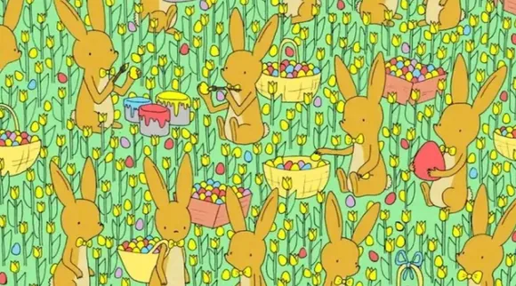 Optical Illusion, Optical Illusion Pictures, Optical Illusion Viral Picture, Optical Illusion Animal Picture, 10 நொடிகளில் கோழிக்குஞ்சுவை கண்டுபிடிங்க, ஆப்டிகல் இல்யூஷன், ஆப்டிகல் இல்யூஷன் படம், முயல் குட்டிகளுக்கு இடையே கோழிக்குஞ்சு, spot the hidden chick, spot the chick among rabbits, Optical Illusion Viral Photos, Optical Illusion Latest, about optical illusion,Optical Illusion photos, Optical Illusion pictures, Optical Illusion images