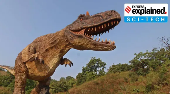 Dinosaur footprints in China
