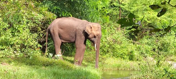 Coimbatore
