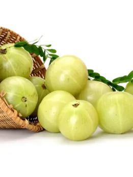 amla 4 - unsplash (1)