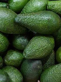 avocado 5 - unsplash (1)