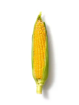 corn 1 - unsplash (1)