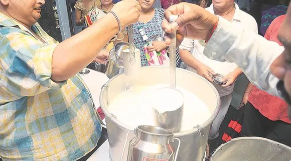 Milk