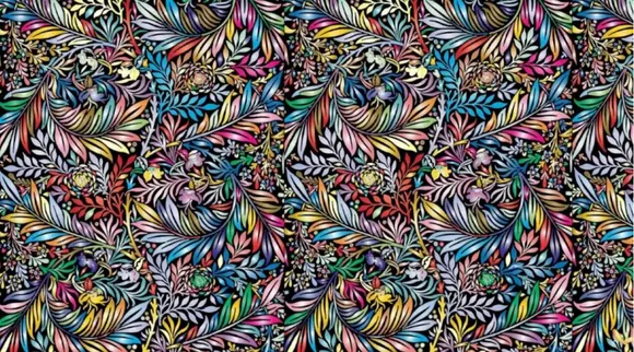Optical Illusion, Optical Illusion Pictures, Optical Illusion Viral Picture, Optical Illusion Animal Picture, Optical Illusion Viral Photos, ஆப்டிகல் இல்யூஷன், ஆப்டிகல் இல்யூஷன் படம், தங்கமீன் கண்டுபிடிங்க, ஆப்டிகல் இல்யூஷன் சவால், தங்க மீன் spot the Gold fish, Optical Illusion Latest, about optical illusion,Optical Illusion photos, Optical Illusion pictures, Optical Illusion images