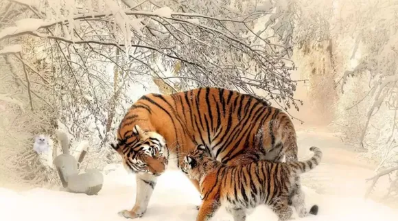 Optical Illusion, Optical Illusion Pictures, Optical Illusion Viral Picture, Optical Illusion Animal Picture, Optical Illusion Viral Photos, Optical Illusion Latest, about optical illusion,Optical Illusion photos, Optical Illusion pictures, Optical Illusion images