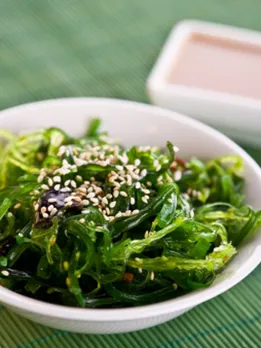 seaweed 1 - unsplash (1)