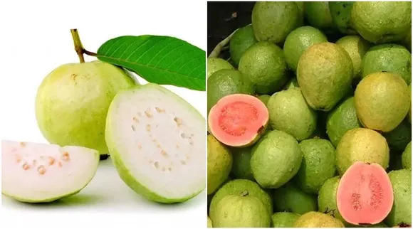 ஃபைபர், புரோட்டீன் நிறைய இருக்கு... சுகர் பேஷன்ட்ஸ் இந்த பழத்தை விடாதீங்க!