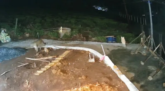Nilgiri leopard video, leopard viral video, viral video, viral news, நீலகிரி, சிறுத்தை வைரல் வீடியோ, சிறுத்தை சிசி டிவி வீடியோ, leopard, viral video news