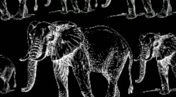 Optical Illusion, Optical Illusion Pictures, Optical Illusion Viral Picture, Optical Illusion Animal Picture, Optical Illusion Viral Photos, Optical Illusion Latest, about optical illusion,Optical Illusion photos, Optical Illusion pictures, Optical Illusion images
