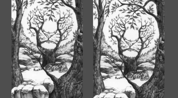 Optical Illusion, Optical Illusion Pictures, Optical Illusion Viral Picture, Optical Illusion Animal Picture, Optical Illusion Viral Photos, Optical Illusion Latest, about optical illusion,Optical Illusion photos, Optical Illusion pictures, Optical Illusion images