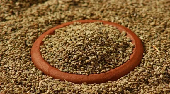 Carom Seeds benefits in tamil: Ajwain or omam or Carom Seeds For Diabetes, ஓமம் தீமைகள், ஓமம் சாப்பிடும் முறை, ஓமம் சீரகம் பயன்கள், வெந்தயம் ஓமம் பயன்கள், ஓமம் இலையின் பயன்கள், பயன்கள், ஓமம் english name, ஓமம் பக்க விளைவுகள், Health Benefits of Ajwain in tamil, ajwain benefits for periods, ajwain benefits for female, how much ajwain to take in a day, ajwain benefits for female infertility, how to make ajwain water, ajwain benefits for hair, ajwain benefits for male, ajwain benefits in tamil, oma seeds in tamil,oma seeds benefits, oma seeds in malayalam, oma seeds in tamil, oma seeds in english, oma seeds uses, ajwain benefits for hair, ajwain benefits, ஓமம் நீர் எப்படி தயாரிப்பது ஓமம் நீர் ஆரோக்கிய நன்மைகள், ஓமம் நீர் எப்படி தயாரிப்பது?, ஓம தண்ணீர் செய்வது எப்படி, ஓம தண்ணீர் பயன்கள் என்னென்ன?, benefits of ajwain water at night, benefits of ajwain water in periods, how to make ajwain water, how much ajwain water to take in a day, ajwain benefits side effects, ajwain water side effects, 
