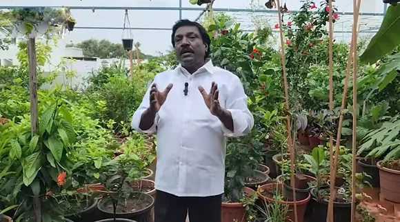 மொட்டை மாடியில் கொத்து கொத்தாக லெமன்: அனிதா குப்புசாமி வீடியோ