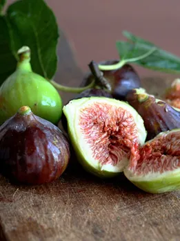 fig 1 - unsplash (1)