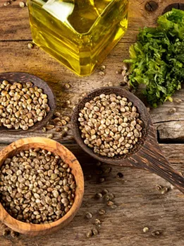 hemp seeds 4 - unsplash (1)