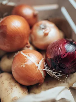 onion 1 - unsplash (1)