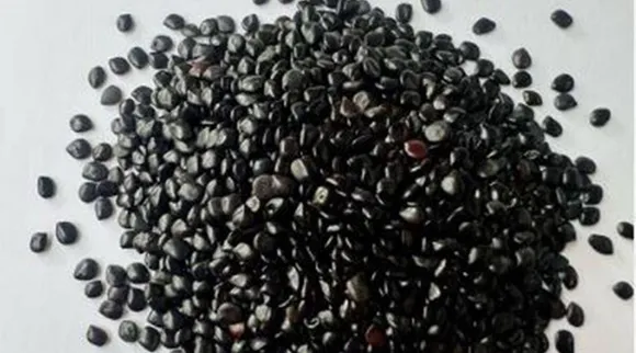 This ‘desi superfood’ treats constipation; can be used in the form of ‘decoction, powder and even juice’