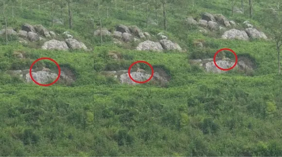 குன்னூர் தேயிலை எஸ்டேட் பாறையில் ஓய்வு எடுத்த சிறுத்தை: வைரல் வீடியோ