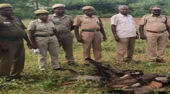 திருச்சியில் விஷம் வைத்து 15 மயில்கள் கொலை; முதியவர் கைது