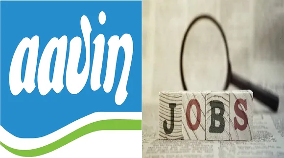 aavin jobs