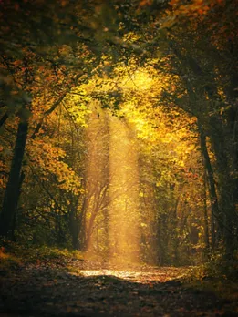 istockphoto-1399856226-170667a (1)