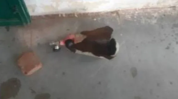 Oxygen cylinder blast, Tiruchirappalli, திருச்சி, ஆக்ஸிஜன் சிலிண்டர் வெடிப்பு, திருச்சி தீயணைப்பு வீரர் படுகாயம், Tiruchi, Thiruchirppalli news, firefighter injury