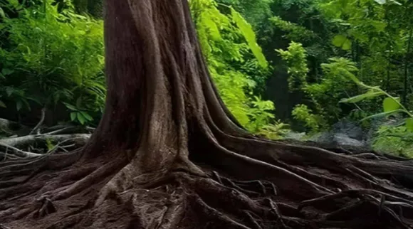 Optical Illusion, Optical Illusion Pictures, Optical Illusion Viral Picture, Optical Illusion Animal Picture, Optical Illusion Viral Photos, ஆப்டிகல் இல்யூஷன், ஆப்டிகல் இல்யூஷன் படம், பாம்பை கண்டுபிடிங்க, சிங்கத்தைக் கண்டுபிடிங்க, Optical Illusion Latest, about optical illusion,Optical Illusion photos, Optical Illusion pictures, Optical Illusion images