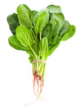 spinach 1 - unspalsh (1)