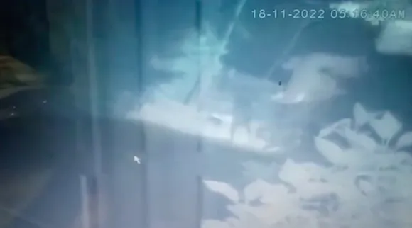 Coimbatore: Retired Teacher Escapes Wild Elephant - CCTV Video Tamil News