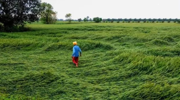 Optical Illusion, Optical Illusion Pictures, Optical Illusion Viral Picture, Optical Illusion Animal Picture, Optical Illusion Viral Photos, ஆப்டிகல் இல்யூஷன், ஆப்டிகல் இல்யூஷன் படம், ஆப்டிகல் இல்யூஷன் சவால், Optical Illusion Latest, about optical illusion,Optical Illusion photos, Optical Illusion pictures, Optical Illusion images
