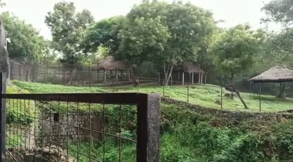 Optical Illusion, Optical Illusion Pictures, Optical Illusion Viral Picture, Optical Illusion Animal Picture, ஆப்டிகல் இல்யூஷன், ஆப்டிகல் இல்யூஷன் படம், ஆப்டிகல் இல்யூஷன் சவால், வைரல் படம், ஆப்டிகல் இல்யூஷன் வைரல், Optical Illusion Viral Photos, Optical Illusion Latest, about optical illusion,Optical Illusion photos, Optical Illusion pictures, Optical Illusion images
