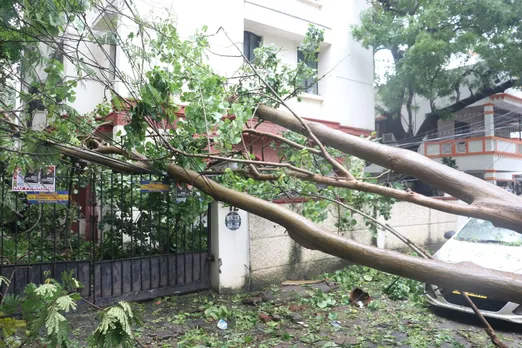 Cyclone Mandous images