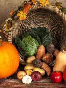 pumpkin-1768857__340 (1)