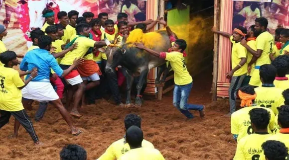 திருச்சி சூரியூர் ஜல்லிக்கட்டு போட்டியில் இருவரிடையே கைகலப்பு.. போலீசார் தடியடி