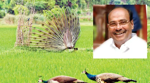 Dr Ramadoss, PMK, Tamilnadu, Thailapuram, Ramadoss Thailapuram Garden, தைலாபுரம் தோட்டம், பாமக, ராமதாஸ்