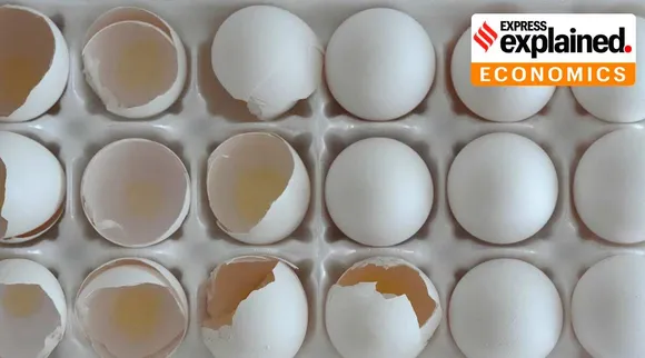 While inflation has eased why are eggs still so expensive in the US