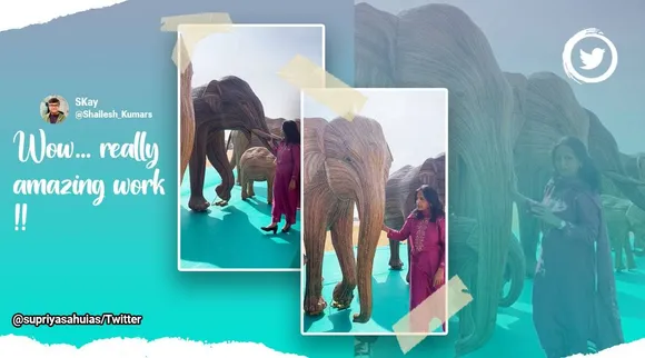 சிறப்பான வேலைப்பாடு; களைத் தாவரத்திலிருந்து யானை மாதிரிகளை உருவாக்கிய தமிழக பழங்குடியினர்