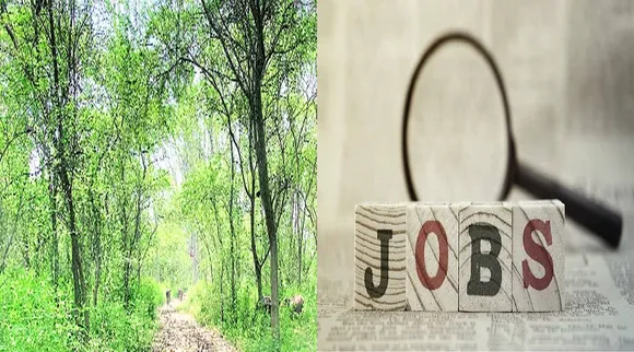 forest jobs