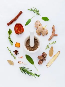 herbs-906140__340 (1)