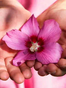 istockphoto-1407710497-170667a (1)